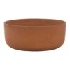 Eav Refined Plant Bowl - Canyon Orange