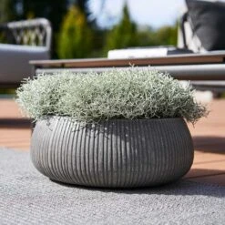 Eileen Plant Bowl - Ridged Dark Grey -Indoor Plants Eileen Planter Ridged Dark Grey Outdoor