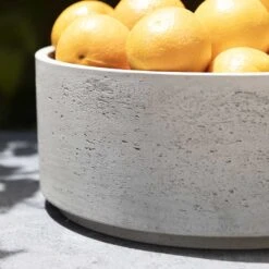 Eli Plant Bowl - Grey Washed -Indoor Plants Eli Plant Bowl Grey Washed Fruit