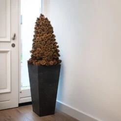 Ella Artstone Tall Planter - Black -Indoor Plants Ella Artstone Tall Planter Black 1