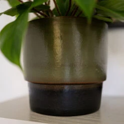 Erik Plant Pot - Dark Olive -Indoor Plants Erik Olive 4