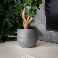 Esra Plant Pot - Mystic Grey -Indoor Plants Esra Plant Pot Mystic Grey 4