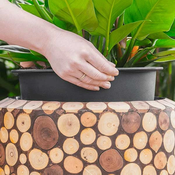 Facets Couple Planter - Ageless 5 Facets Couple Planter - Ageless - Image 5