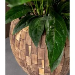 Facets Couple Planter - Jenga -Indoor Plants Facets Couple Planter Jenga Lifestyle Close