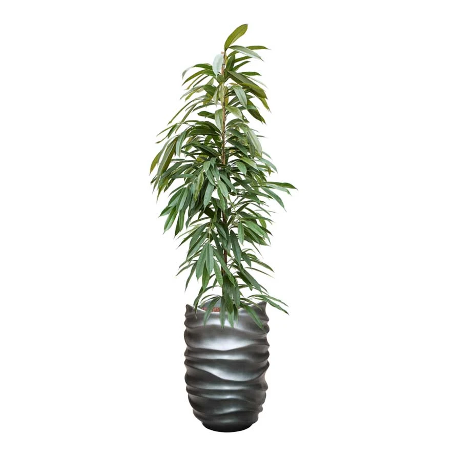 Gradient Lee Partner Planter - Matt Grey 2 Gradient Lee Partner Planter - Matt Grey - Image 2