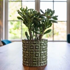 Fiene Plant Pot - Green -Indoor Plants Fiene Green 1