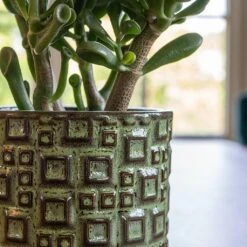 Fiene Plant Pot - Green -Indoor Plants Fiene Green 2