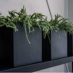 Fleur Natural Planter - Black -Indoor Plants FleurNaturalPlanter Black 3