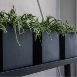 Fleur Natural Planter - Black -Indoor Plants FleurNaturalPlanter Black 4