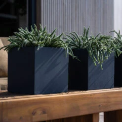 Fleur Natural Planter - Black -Indoor Plants FleurNaturalPlanter Black 5