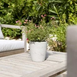 Gerben Plant Pot - Grey Washed 13 Gerben Plant Pot - Grey Washed -Indoor Plants Gerben Plant Pot Grey Washed Plant Pot Houseplant