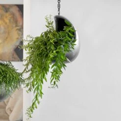 Gradient Hanging Cocoon - Matt Grey -Indoor Plants Gradient Hanging Matt Grey 2
