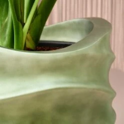 Gradient Lee Couple Planter - Matt Forest -Indoor Plants Gradient Lee Planter Matt Forest 1 91acfecb 1060 4c15 b271 b9bb4f5bb960