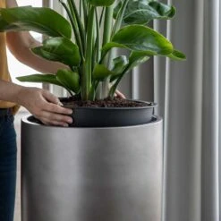 Gradient Partner Planter - Matt Grey -Indoor Plants Gradient Partner Planter Matt Grey 1