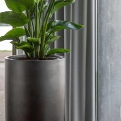 Gradient Partner Planter - Matt Grey -Indoor Plants Gradient Partner Planter Matt Grey 3
