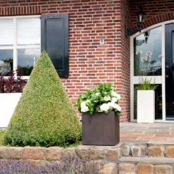 Grigio Cube Planter - Rusty Iron Concrete 9 Grigio Cube Planter - Rusty Iron Concrete -Indoor Plants Grigio Cube Planter Rusty Iron Concrete LS1