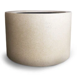 Grigio Cylinder Planter - Antique White Concrete -Indoor Plants Grigio Cylinder Planter Antique White Concrete 08a9cf77 9256 45e9 ad31 bae730a64d75