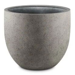 Grigio New Egg Pot Planter - Natural Concrete -Indoor Plants Grigio New Egg Pot Planter Natural Concrete 94x80cm