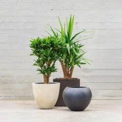 Grigio Egg Pot Planter - Antique White Concrete 11 Grigio Egg Pot Planter - Antique White Concrete -Indoor Plants Grigio Planters LS1