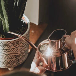 Haws Fazeley Flow Watering Can - One Pint Copper -Indoor Plants Haws Fazeley Flow One Pint Copper LS