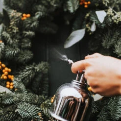 Haws Smethwick Spritzer In Nickel -Indoor Plants Haws Smethwick Spritzer in Nickel 2