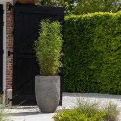 Hayes Mountain Planter - Granite Grey -Indoor Plants Hayes Mountain Planter Granite Grey Lifestyle 2