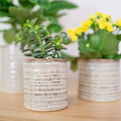 Hera Plant Pot - Ivory -Indoor Plants HeraPlantPot 2