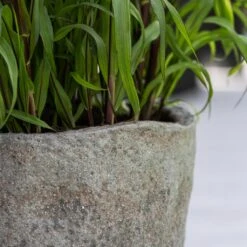 Hunter Mountain Planter - Granite Grey -Indoor Plants Hunter Mountain Planter Granite Grey Lifestyle 1