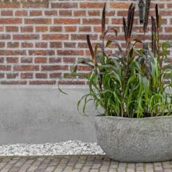 Hunter Mountain Planter - Granite Grey -Indoor Plants Hunter Mountain Planter Granite Grey Lifestyle 3