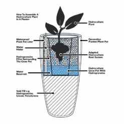 Philodendron Scandens - Column - HydroCare -Indoor Plants Hydroculture Planter Diagram 84cdc547 34fc 4b79 99fa 11284fe6f609