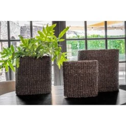 Isaac Plant Baskets - Set Of 3 - Oval - Black -Indoor Plants Isaac Plant Baskets Set of 3 Oval Black Indoor Plants