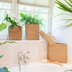 Isaac Plant Baskets - Set Of 3 - Oval - Natural -Indoor Plants Isaac Plant Baskets Set of 3 Round Natural Houseplants