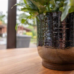 Jayla Plant Pot - Espresso -Indoor Plants Jayla Espresso 2