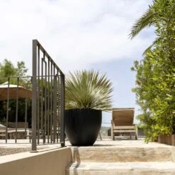 Jesslyn Natural Planter - Black -Indoor Plants Jesslyn Natural Planter Black 1