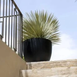 Jesslyn Natural Planter - Black -Indoor Plants Jesslyn Natural Planter Black 2