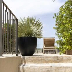 Jesslyn Natural Planter - Black -Indoor Plants Jesslyn Natural Planter Black Large Patio Planter da61951c e7e8 4898 be23 5e29fba17043