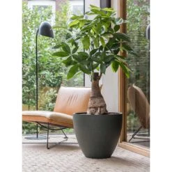 Jesslyn Refined Planter - Pine Green -Indoor Plants Jesslyn Refined Planter Pine Green Office Planters