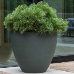 Jesslyn Refined Planter - Pine Green -Indoor Plants Jesslyn Refined Planter Pine Green Outdoor Plant Display