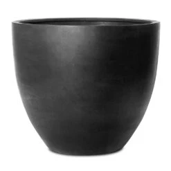 Jumbo Jesslyn Natural Planter - Black -Indoor Plants Jumbo Jesslyn Natural Planter Black 87x73cm