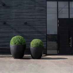 Jumbo Jesslyn Natural Planter - Black -Indoor Plants Jumbo Jesslyn Natural Planter Black Entrance Planters