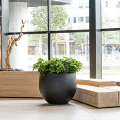 Jumbo Orb Natural Orb Planter - Black 12 Jumbo Orb Natural Orb Planter - Black -Indoor Plants Jumbo Orb Natural Orb Planter Black Office Reception Planter