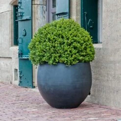 Jumbo Orb Natural Orb Planter - Black 11 Jumbo Orb Natural Orb Planter - Black -Indoor Plants Jumbo Orb Natural Orb Planter Black Single Outdoor Planter