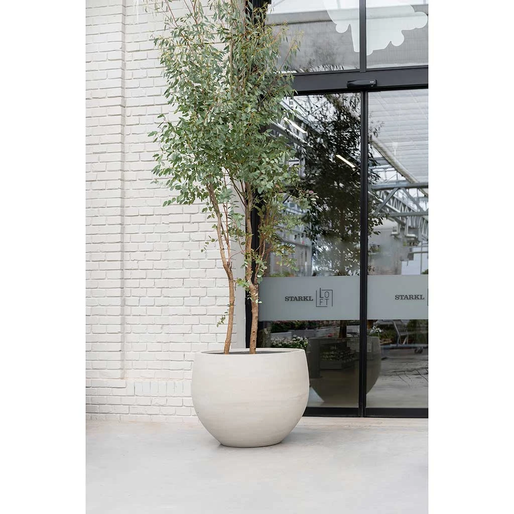 Jumbo Orb Planter - Stone Washed 6 Jumbo Orb Planter - Stone Washed - Image 6