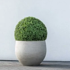 Jumbo Orb Planter - Stone Washed 20 Jumbo Orb Planter - Stone Washed -Indoor Plants Jumbo Orb Planter Stone Washed Topiary Box Hedge