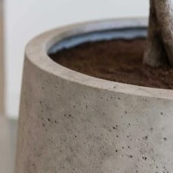 Jumbo Patt Planter - Stone Washed -Indoor Plants Jumbo Patt Planter Stone Washed Close Up