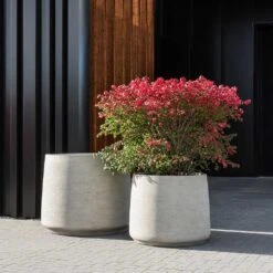 Jumbo Patt Planter - Stone Washed -Indoor Plants Jumbo Patt Planter Stone Washed Garden Plants