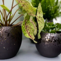 Kae Plant Pot - Mocha -Indoor Plants Kae Plant Pot Mocha Textures