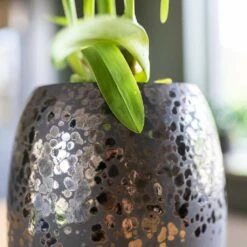 Kae Plant Vase - Mocha 6 Kae Plant Vase - Mocha -Indoor Plants Kae Plant Vase Mocha Close Up