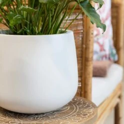 Kevan Essentials Plant Pot - Matt White -Indoor Plants Kevan Plant Pot Matt White Philodendron Plant