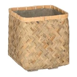 Kobe Bamboo Planter -Indoor Plants Kobe Bamboo Planter Medium